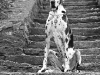 _DSC7516