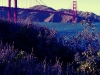 San Fran Trip 2011